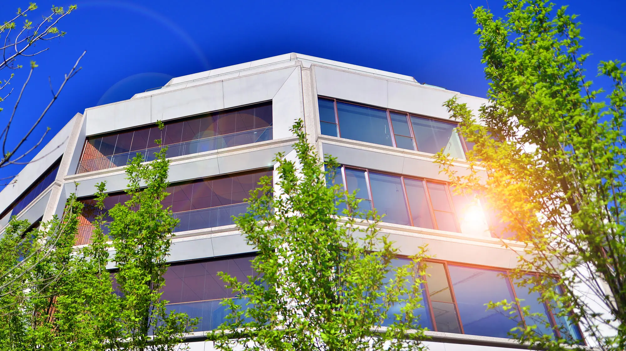 Investing in Commercial Properties: Opportunities and Considerations